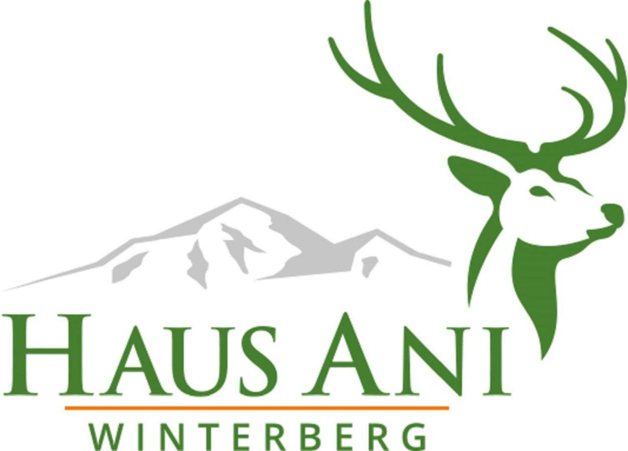 Haus Ani Winterberg Villa Esterno foto