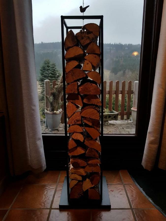 Haus Ani Winterberg Villa Esterno foto