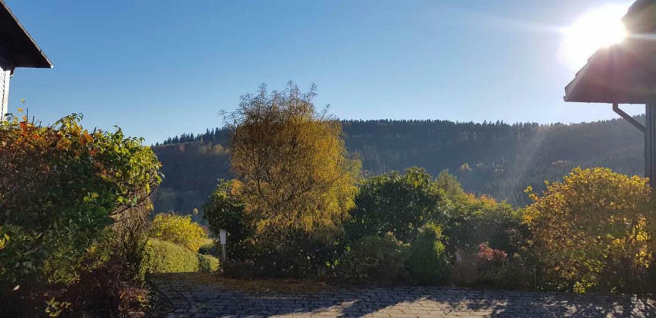 Haus Ani Winterberg Villa Esterno foto
